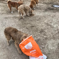 photo de livraison pour Anca Timpeanu