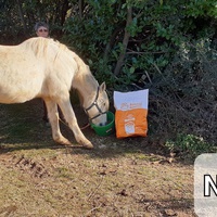 photo de livraison pour Association hippique du Caroux