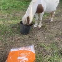 photo de livraison pour Espoir au Galop