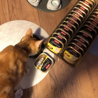 photo de livraison pour Les chats de l'Indifférence