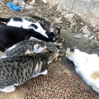 photo de livraison pour Kawthar Maree