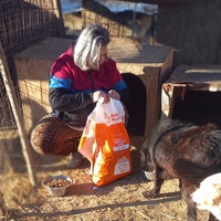 photo de livraison pour Ramona Ciprian Rotunjeanu