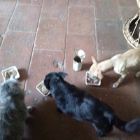 photo de livraison pour L'Esperanza