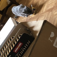 photo de livraison pour Les Chats Libres de Joinville