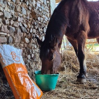 photo de livraison pour Arche et Relais