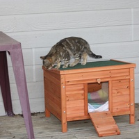 photo de livraison pour Ecole du Chat Libre de Caillerot