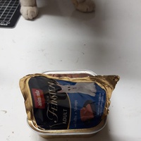 photo de livraison pour Les Chats'nonymes
