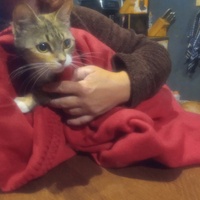 photo de livraison pour SOS Animaux, un Toit pour la Vie
