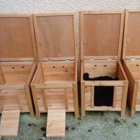 photo de livraison pour L'Arche de Ploum