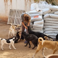 photo de livraison pour Help Adopt Moroccan Animals