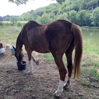 photo de livraison pour Bêle et Bête