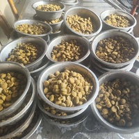 photo de livraison pour Svetlana Bjelogrlic