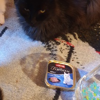 photo de livraison pour Ecole du Chat d’Arbois