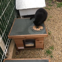 photo de livraison pour Ecole du Chat des Alpilles