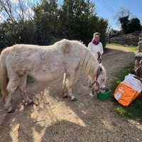 photo de livraison pour La Retraite des Chevaux des Causses