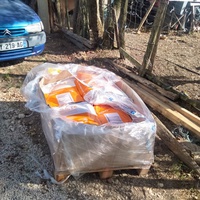 photo de livraison pour Chats errants du val du crenu