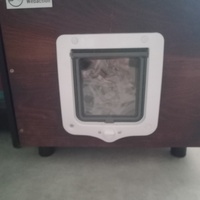 photo de livraison pour Les Chats-Pitresdelavi-Ste