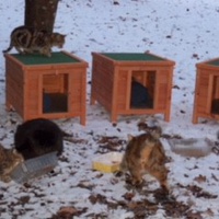 photo de livraison pour Arche de Céline