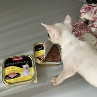 photo de livraison pour Cosette