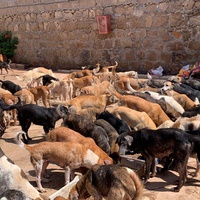 photo de livraison pour ADAN