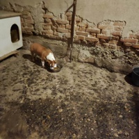 photo de livraison pour Ivana Nikolić