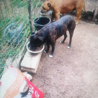 photo de livraison pour Samira Gagula