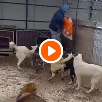 photo de livraison pour Associtia Axi Hope Romania