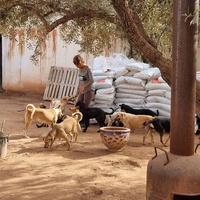 photo de livraison pour Help Adopt Moroccan Animals