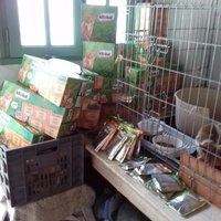 photo de livraison pour Les chats Port-Saint-Louisiens