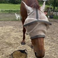 photo de livraison pour Association Equi’souffle