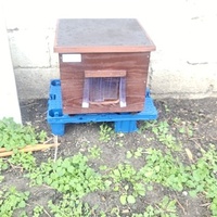 photo de livraison pour Des Cœurs pour les Pattes du 93