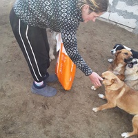 photo de livraison pour Mariuta
