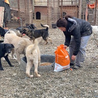 photo de livraison pour Saving Orphaned Souls Sheila's Animal Rescue Mission