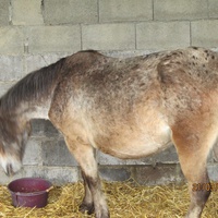 photo de livraison pour Arche et Relais