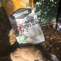 photo de livraison pour L'Ecole du Chat Istreen