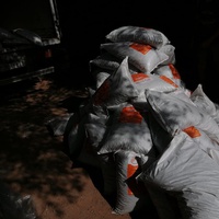photo de livraison pour Help Adopt Moroccan Animals