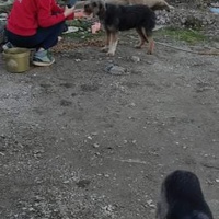 photo de livraison pour Civic Initiative Kane Korzo Skopje