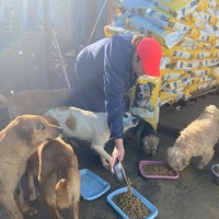 photo de livraison pour ADAN TETOUAN