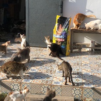 photo de livraison pour Corinne Teissier