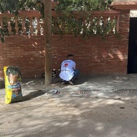 photo de livraison pour L'Arche de Noé