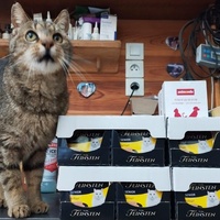 photo de livraison pour Sanctuaire Paradis d'Animaux