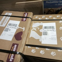 photo de livraison pour Chats Libres de Béziers