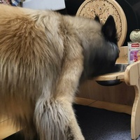 photo de livraison pour AVRAH