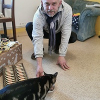 photo de livraison pour Les Chats Libres de Joinville