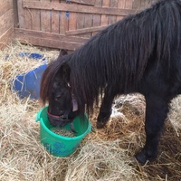 photo de livraison pour Ferme du Launay