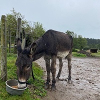 photo de livraison pour ADADA
