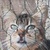 photo animal