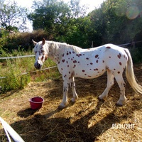 photo de livraison pour Arche et Relais