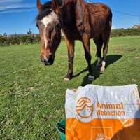 photo de livraison pour Arche et Relais