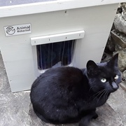 photo de livraison pour Les Chats Perchés de Mirmande